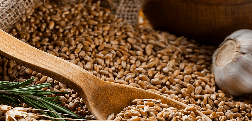 Saran Mutfak Ekipmanlar�